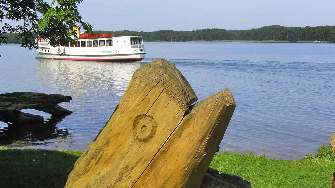 AreaSummer1KM AreaSummer1KM